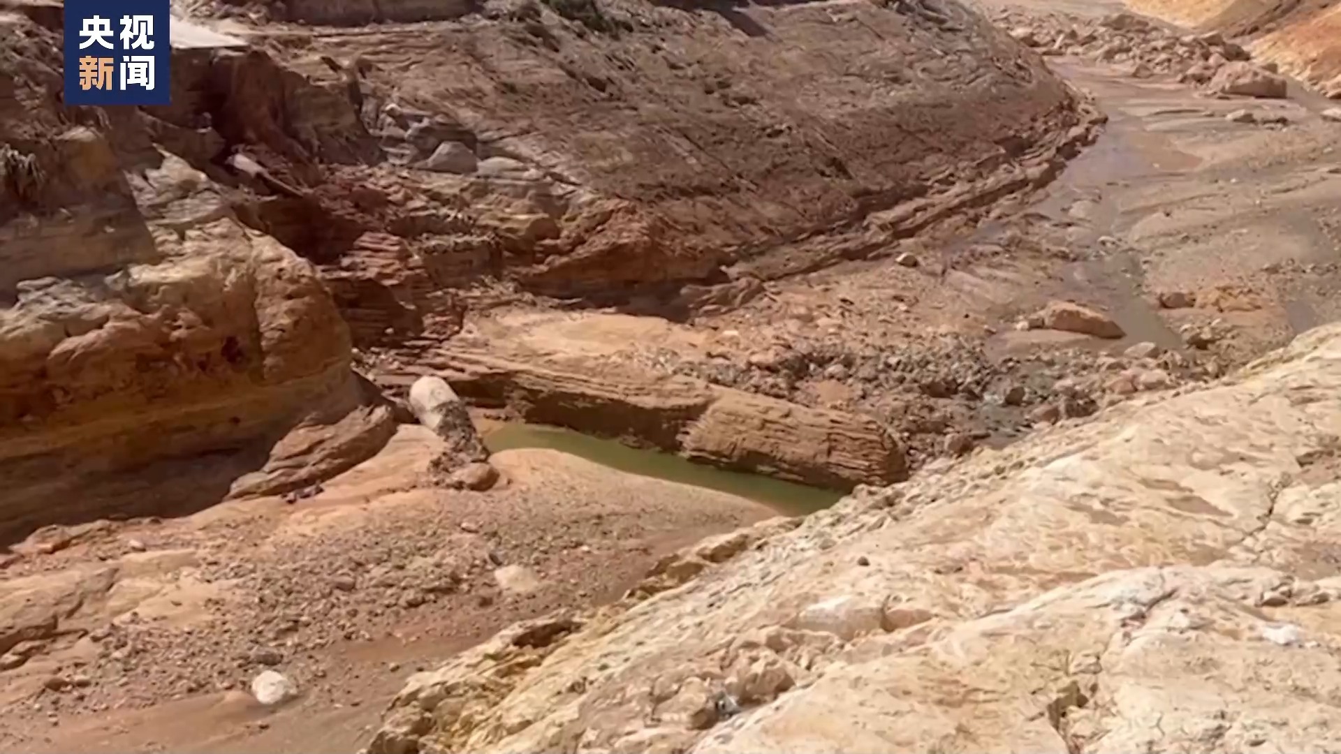 手机验证自助体验金